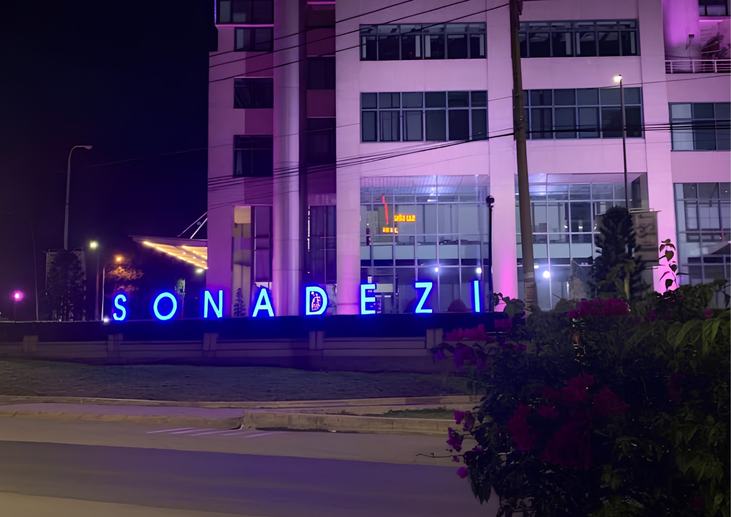 Hình ảnh Tòa nhà Sonadezi 7